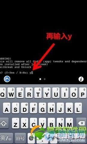 iLEX RAT冬青鼠的介绍