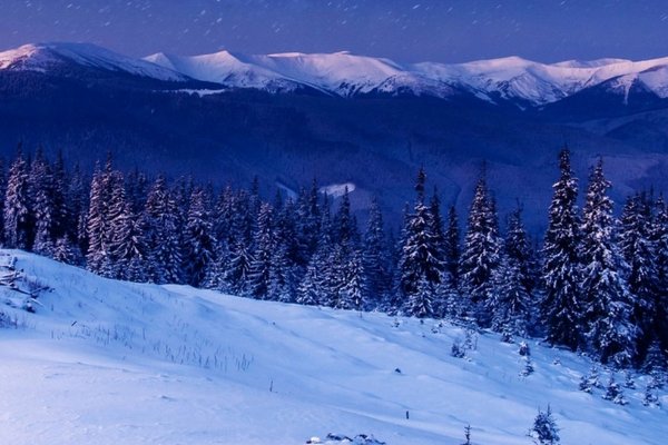 以下哪句是描写冬季的诗句