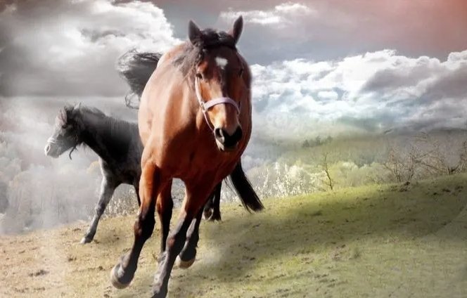 下马作威的意思是