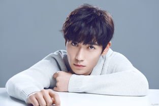 第32届华鼎奖提名名单出炉了，都有哪些人进入此名单？