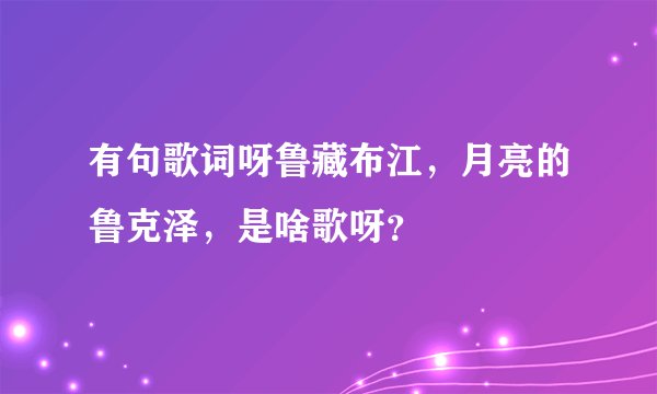 有句歌词呀鲁藏布江，月亮的鲁克泽，是啥歌呀？