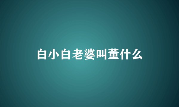 白小白老婆叫董什么