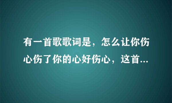 有一首歌歌词是，怎么让你伤心伤了你的心好伤心，这首歌歌名叫什么？