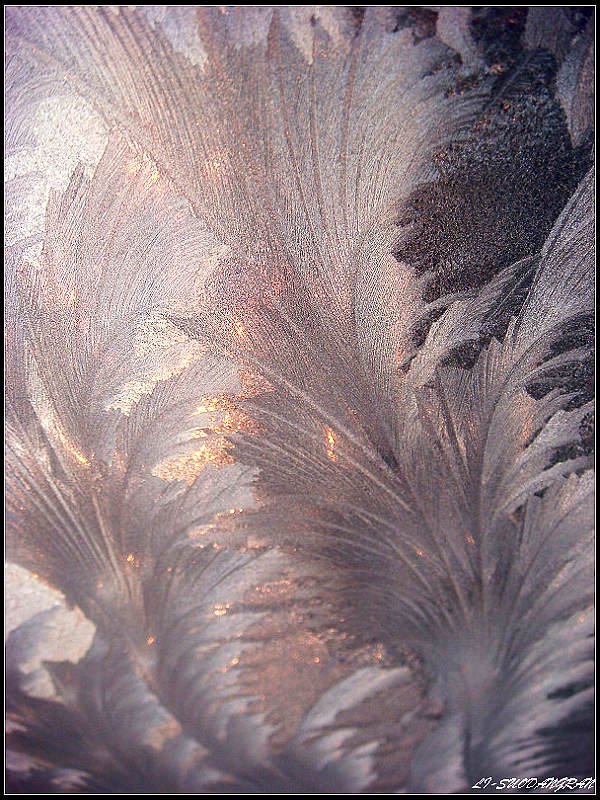 冰窗花怎么形成的？