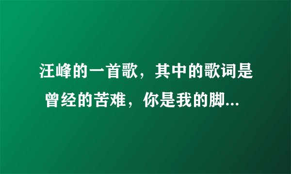 汪峰的一首歌，其中的歌词是 曾经的苦难，你是我的脚步，……就在远方，谢谢大神