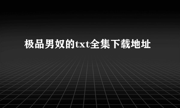 极品男奴的txt全集下载地址