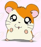 谁给我几个哈姆太郎的图标啊