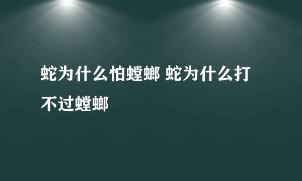蛇为什么怕螳螂 蛇为什么打不过螳螂