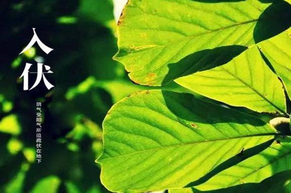 2020年7月16号几点入伏2020？