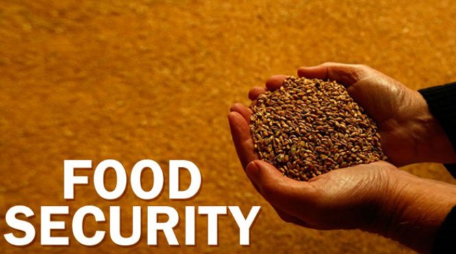 food safety和food security的区别是什么？