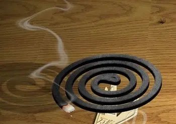 广东一女子误买40根1米2超大蚊香，她为什么会买到这样的蚊香？