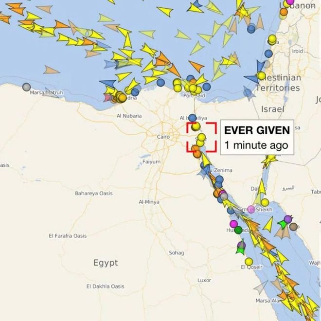 苏伊士运河堵了数千牛羊，此次堵船会如何影响船上的活物？