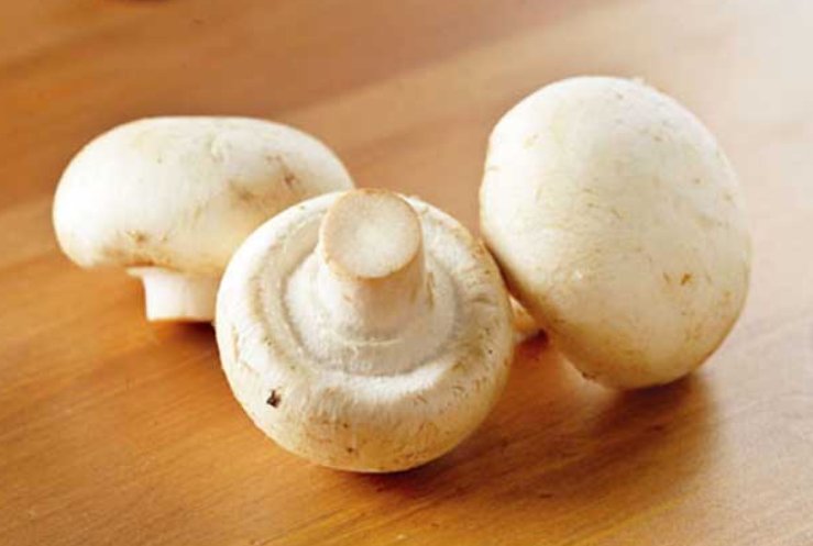 口蘑中的口字源于什么说法