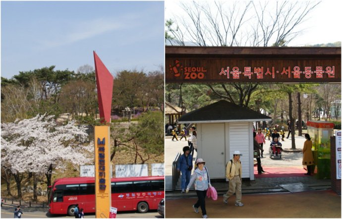 美术馆旁边的动物园的介绍