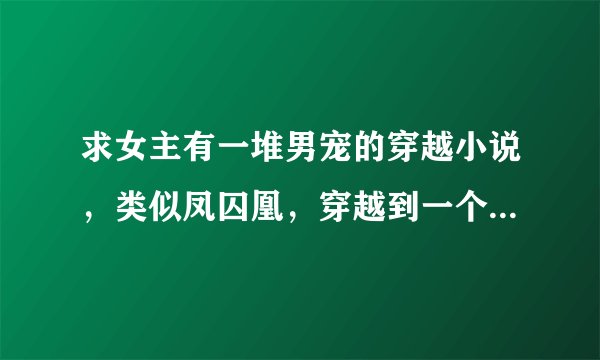 求女主有一堆男宠的穿越小说，类似凤囚凰，穿越到一个拥有一堆男宠的女主身上