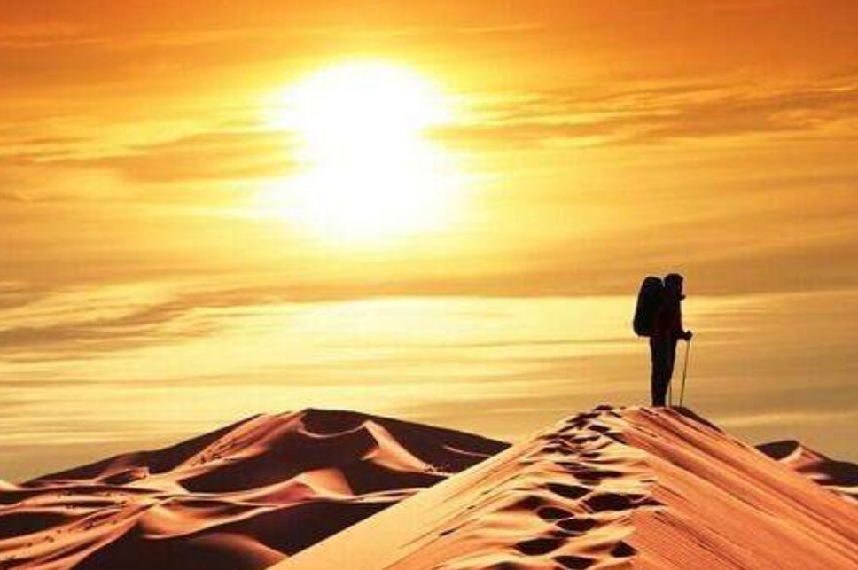 “登高必自卑行远必自迩”是什么意思？