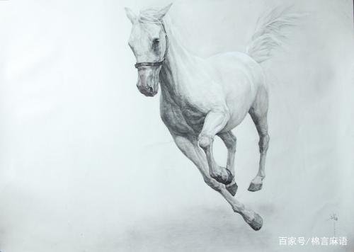 男龙女马相配好吗