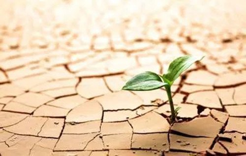 世界每3人有1人无法获得安全饮水，你有哪些节约用水的习惯？