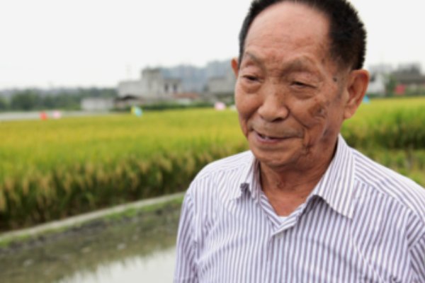 袁隆平对于我国的农业贡献很大，他的种子都卖到了哪里？