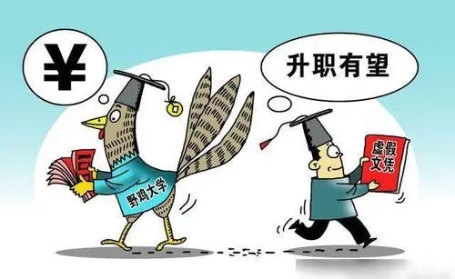 男子学历造假被判返还工资30万，他是做什么工作的？