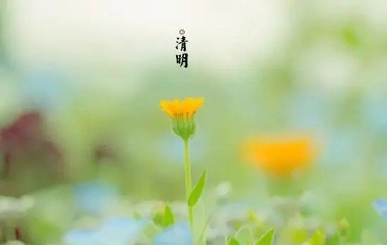 2023清明放三天还是一天