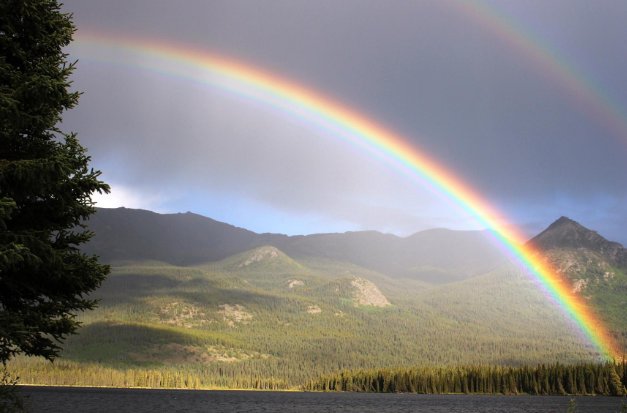 为什么湿掉的布料看起来会比干的布料看起来颜色更深？