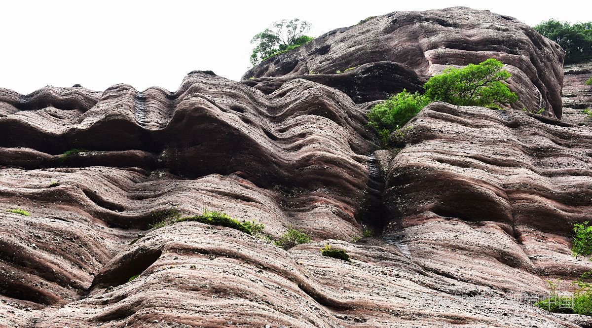 与人合租时，你都遇到过哪些糟心事？