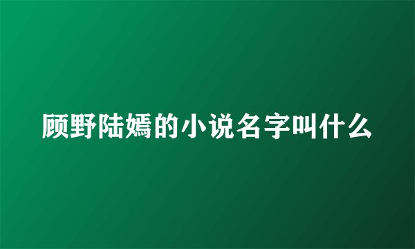 顾野陆嫣的小说名字叫什么