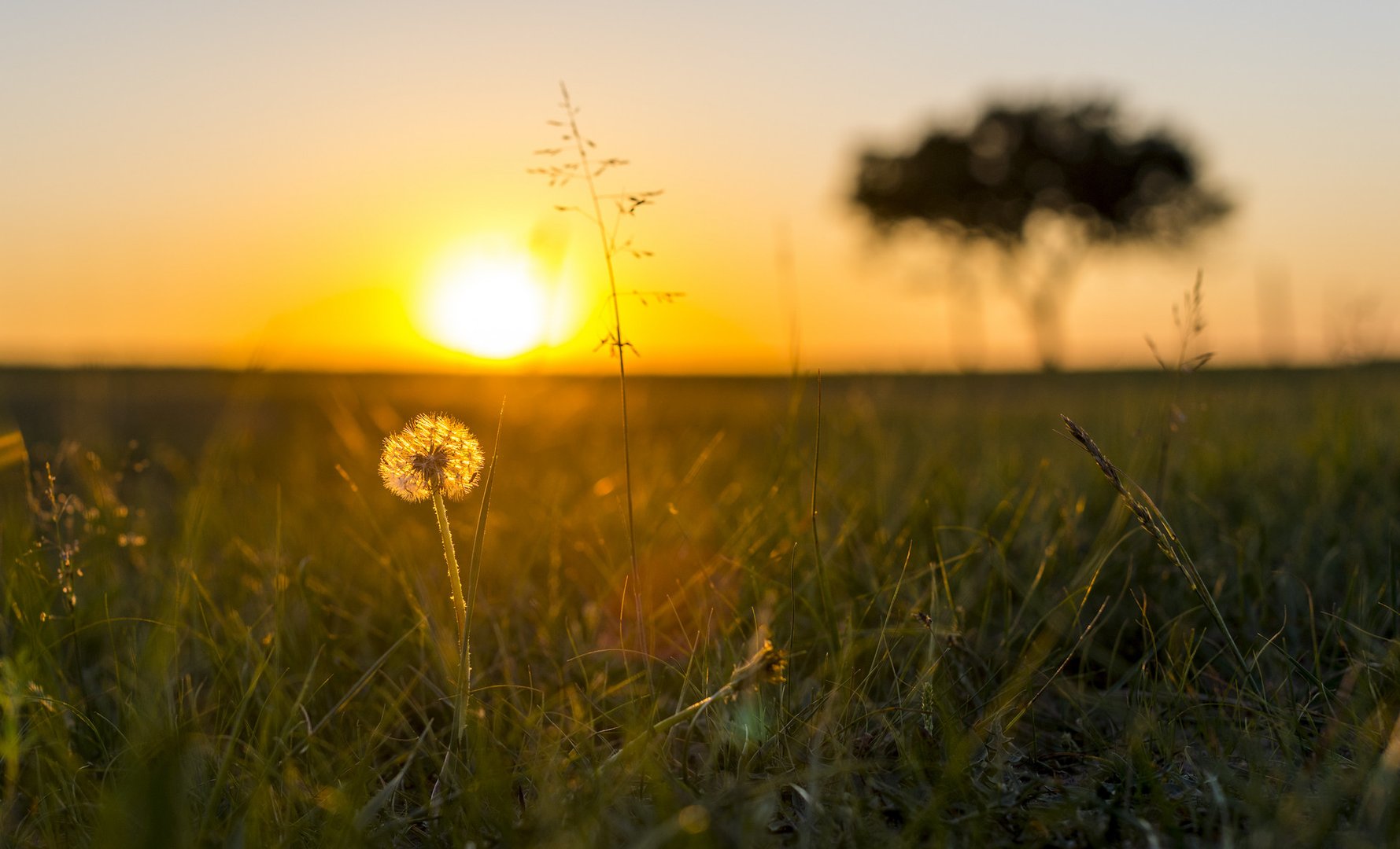 三十多岁的女人，她还觉得她很年轻漂亮，且非常自信。她这是心理有问题吗？