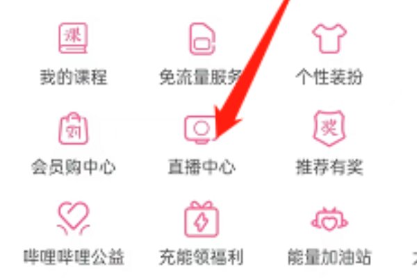 b站直播怎么看收益