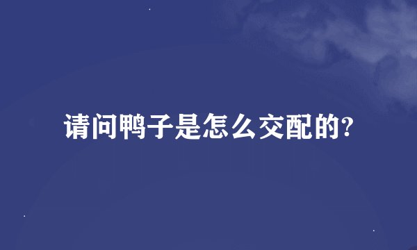 请问鸭子是怎么交配的?