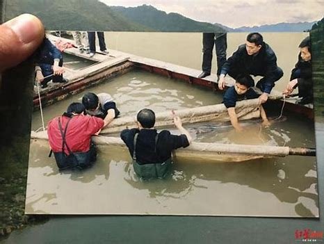 最后的长江白鲟救助人听到消息后哽咽,物种的灭绝带给了我们哪些反思?