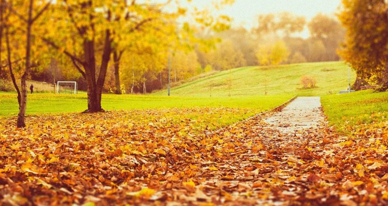 怎么样知道秋天来了？