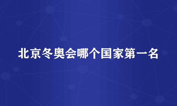 北京冬奥会哪个国家第一名