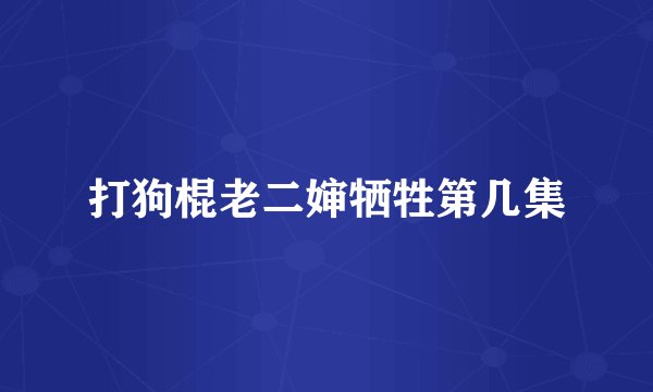 打狗棍老二婶牺牲第几集
