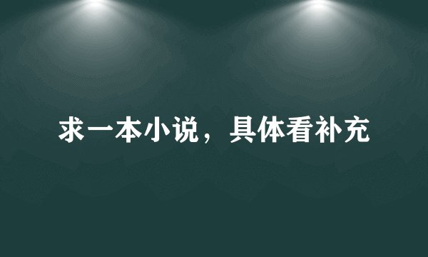 求一本小说，具体看补充