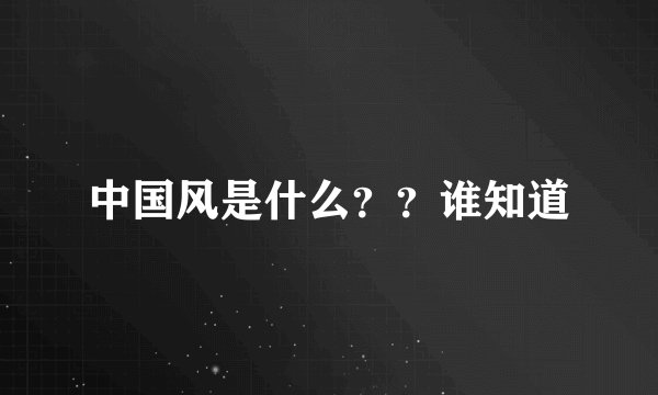 中国风是什么？？谁知道