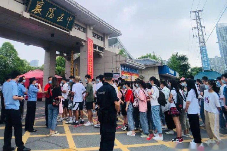 2023山东高考语文难不难