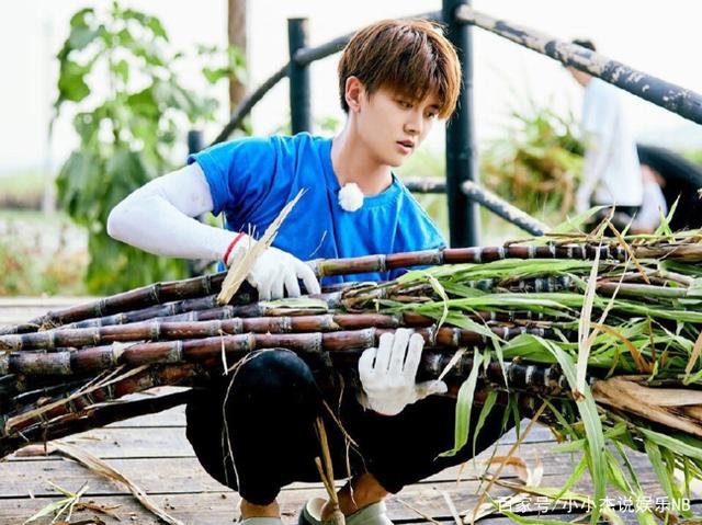 身边不乏美女的任嘉伦，却选择了相貌平平的聂欢，这是为何？