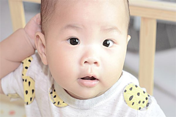 东北三省一年减少42.73万人，为何当地的出生率会如此低？