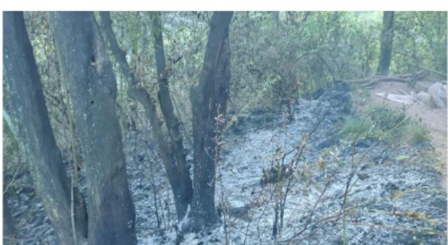 重庆多地市民闻到刺鼻臭味，环保局称多种原因造成， 臭味到底是哪里来的？