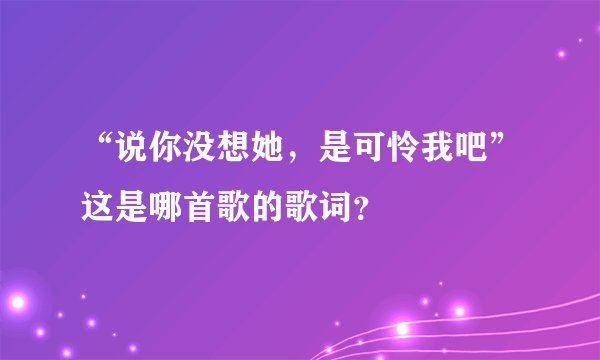 “说你没想她，是可怜我吧”这是哪首歌的歌词？