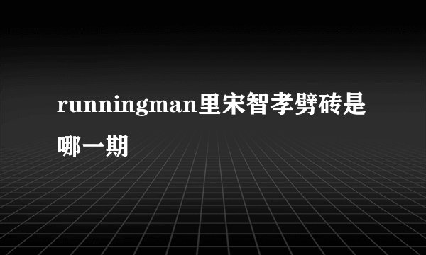 runningman里宋智孝劈砖是哪一期