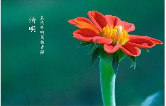 关于清明节的诗（4句）至少5首，大哥大姐，快点！