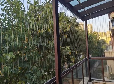 太过惊险！女子失足掉下后悬挂在3楼邻居的雨棚上，阳台该不该做防护网？