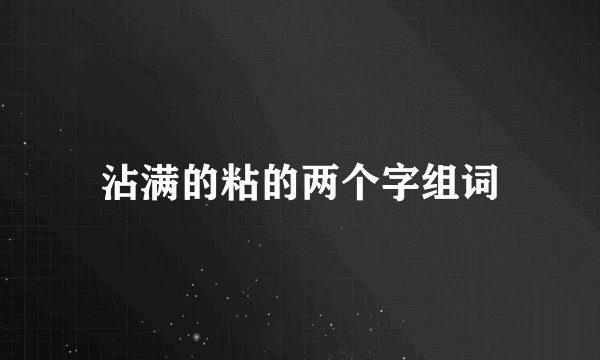 沾满的粘的两个字组词