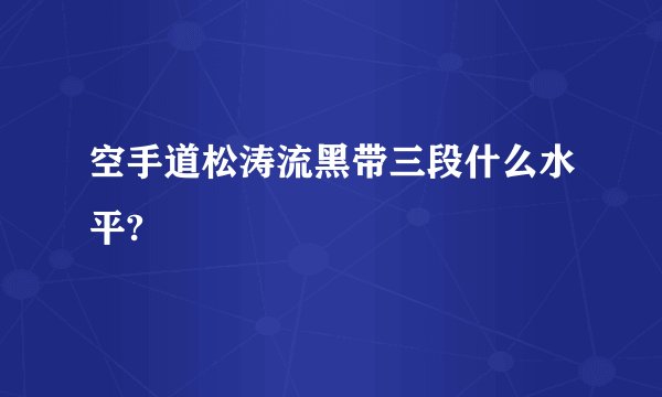 空手道松涛流黑带三段什么水平?