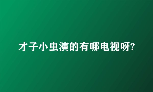 才子小虫演的有哪电视呀?