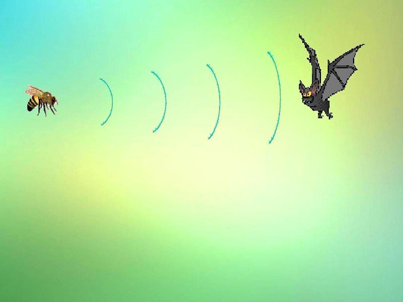 夜间飞行的秘密针对课文的写作方法提出的问题？