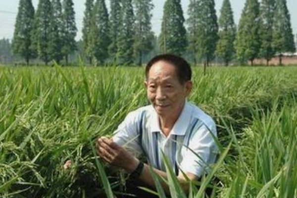 袁隆平对于我国的农业贡献很大，他的种子都卖到了哪里？